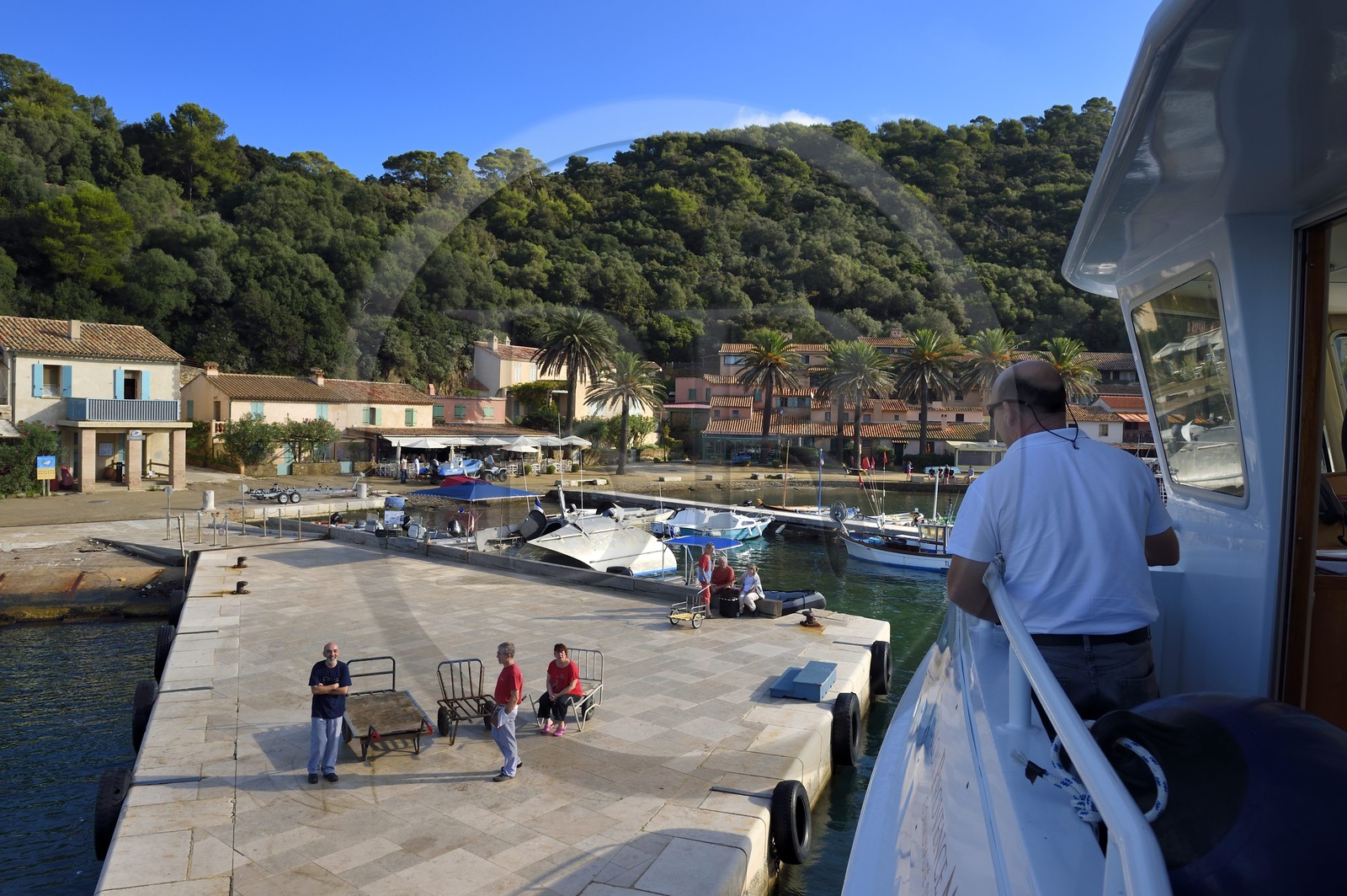 France, Var (83), Iles d'Hyères, parc national de Port Cros, Ile de Port-Cros, arrivée du bateau de liaison au port
