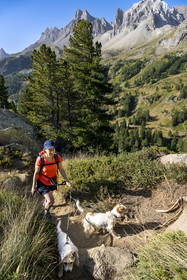 France, Hautes Alpes (05), le Briançonnais, Névache, randonneuse dans les hauteurs de la vallée de la Clarée, le massif des Cerces en arrière-plan
