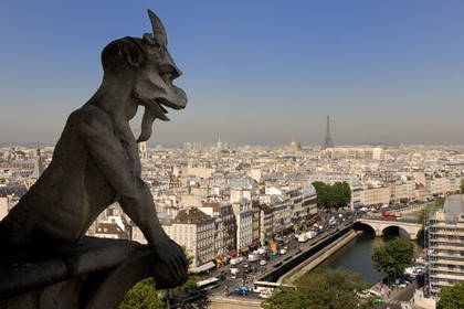 France, Paris (75), île de la Cité, la cathédrale Notre-Dame, les chimères observent la ville
