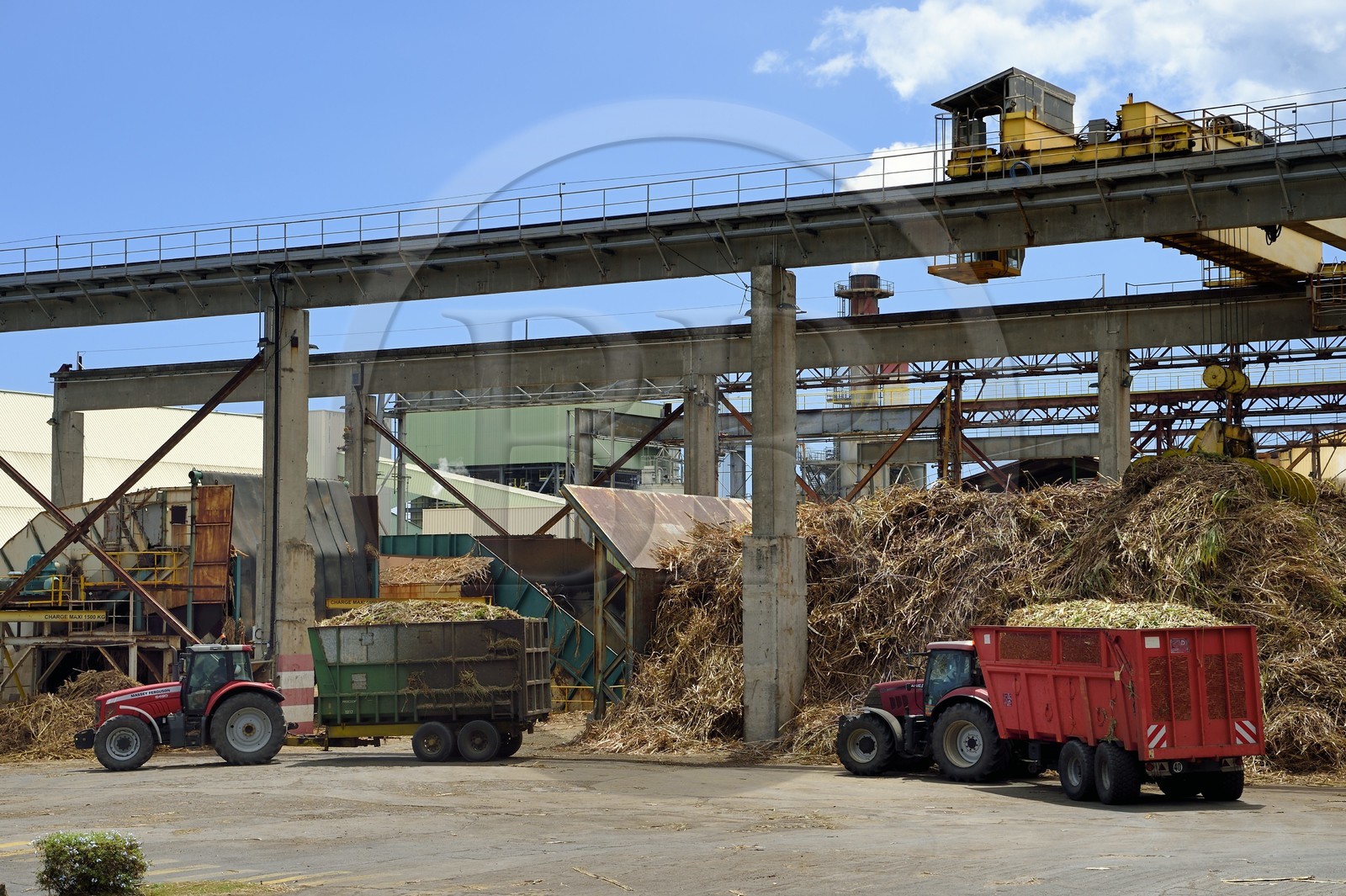 France, Reunion island (French overseas department), Saint-Louis, Le Gol sugar factory, arrival of sugar cane loads in trucks or trailers called localy cachalot