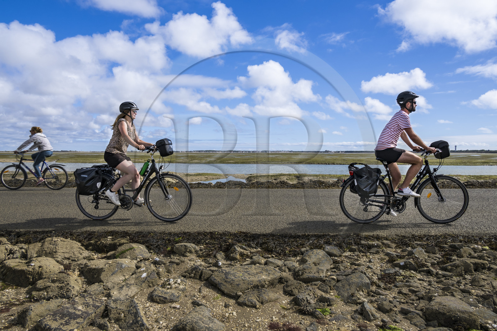 France, Vendee, Noirmoutier island, Barbatre, cyclists on the Passage du Gois, submersible causeway that connects the island to the mainland at low tide