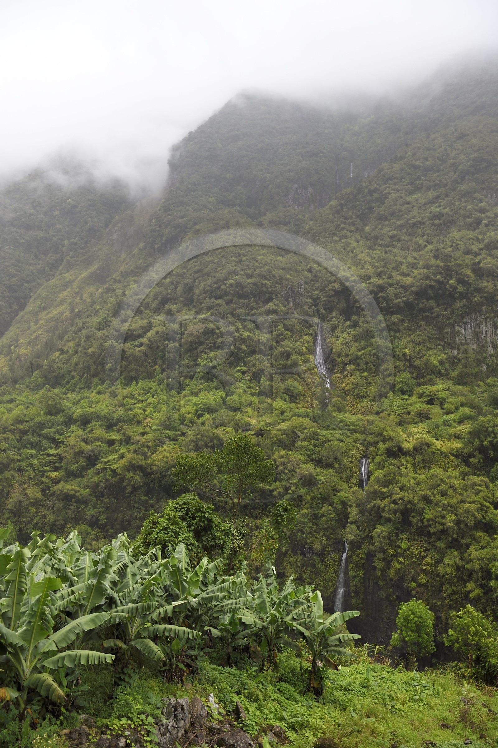 France, Ile de la Reunion, Cirque de Salazie, classé Patrimoine Mondial de l'UNESCO, entrée du cirque à la Rivière du Mat