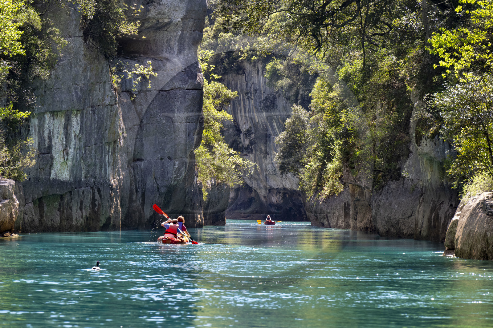 Var (83) rive gauche et Alpes-de-Haute-Provence (04) rive droite, Parc Naturel Régional du Verdon, Basses Gorges du Verdon en aval du lac de Sainte Croix, découverte en kayak des gorges de Baudinard