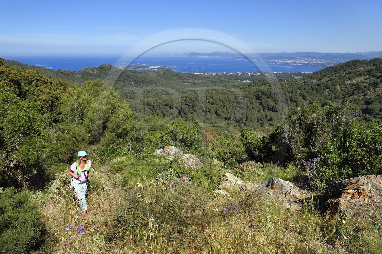 France, Var (83), Six-Fours-les-Plages, randonnée dans le massif du Cap Sicié vers la chapelle Notre-Dame du Mai, l'Ile des Embiez en arrière plan