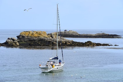 France, Finistere, La Foret Fouesnant, Glenan islands, Penfret island, sailboat at anchor