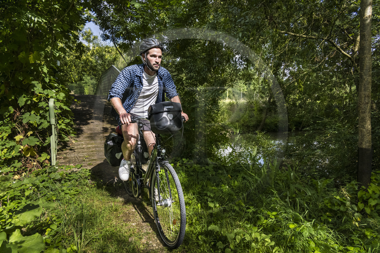France, Deux-Sèvres (79), le Marais Poitevin, la Venise Verte, Le Vanneau-Irleau, randonnée à bicyclette le long des canaux et passage d'une passerelle