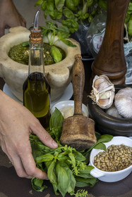 France, Alpes-Maritimes (06), Nice, restaurant Lou Balico spécialisé dans le basilic, Sara Issautier présente la préparation du pesto traditionnel (basilic, ail, pignons, huile et parmesan)