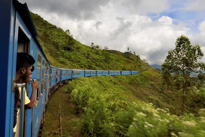 Sri Lanka, Province du Centre, trajet en train dans la région montagneuse de la culture du thé entre Hatton et Badulla, ici entre Great Western et Raddalla