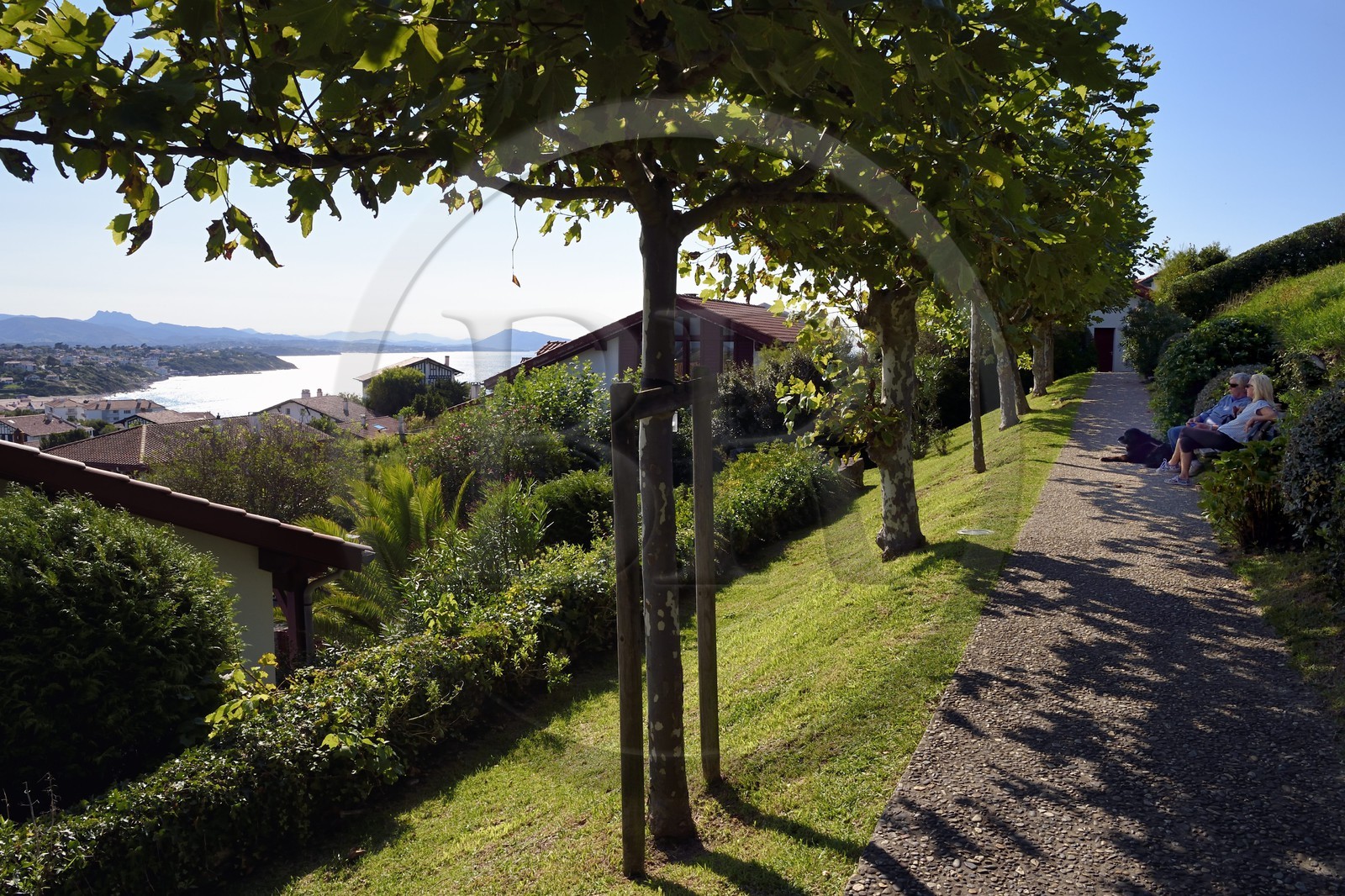 France, Pyrénées-Atlantiques (64), la côte du Pays-Basque, Bidart, chemin vers la chapelle Sainte-Madeleine