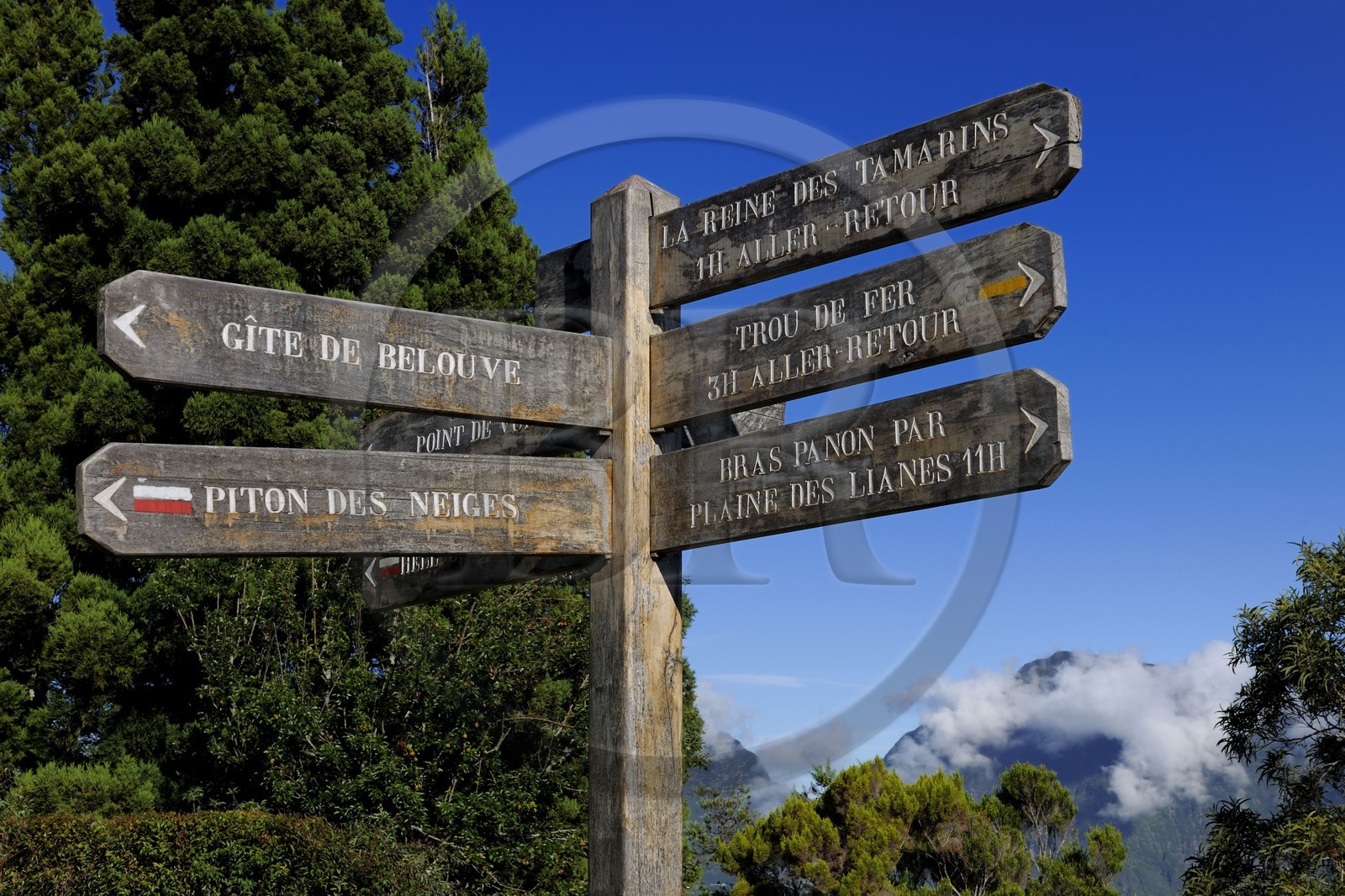 France, île de la Réunion, forêt de Bélouve, panneaux indicateurs des randonnées au gîte de Bélouve
