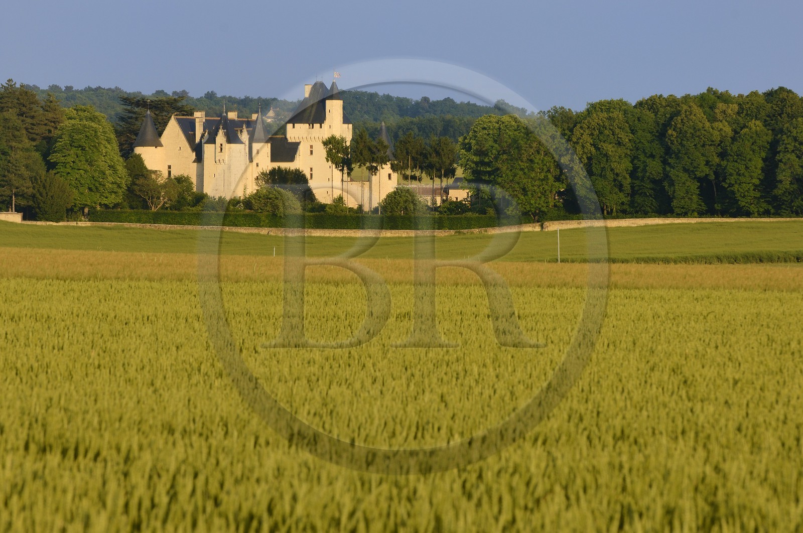 France, Indre et Loire, Chateau du Rivau