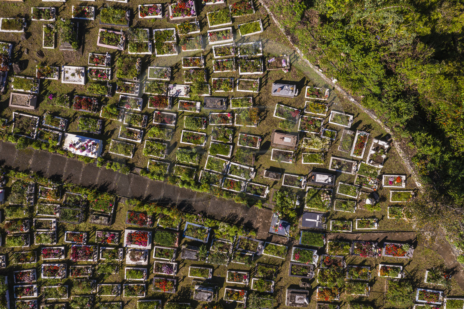 France, Ile de la Reunion, Cirque de Salazie, classé Patrimoine Mondial de l'UNESCO, Hell-Bourg, labellisé les Plus Beaux Villages de France, le cimetière constitué de tombes en pleine terre fleuries naturellement (vue aérienne)