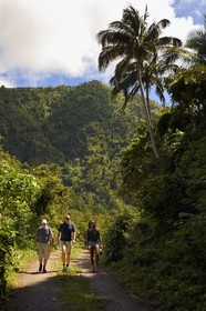 Caraïbes, Ile de la Dominique,