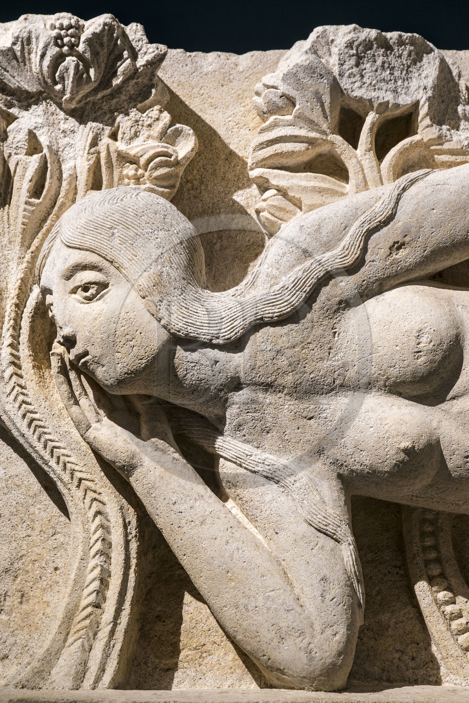 France, Saône-et-Loire (71), Autun, musée Rolin, exposition des chefs-d'oeuvres au muséum d'Histoire Naturelle pendant les travaux, élément de linteau La Tentation d'Ève (vers 1130), attribué à Gislebertus (détail)