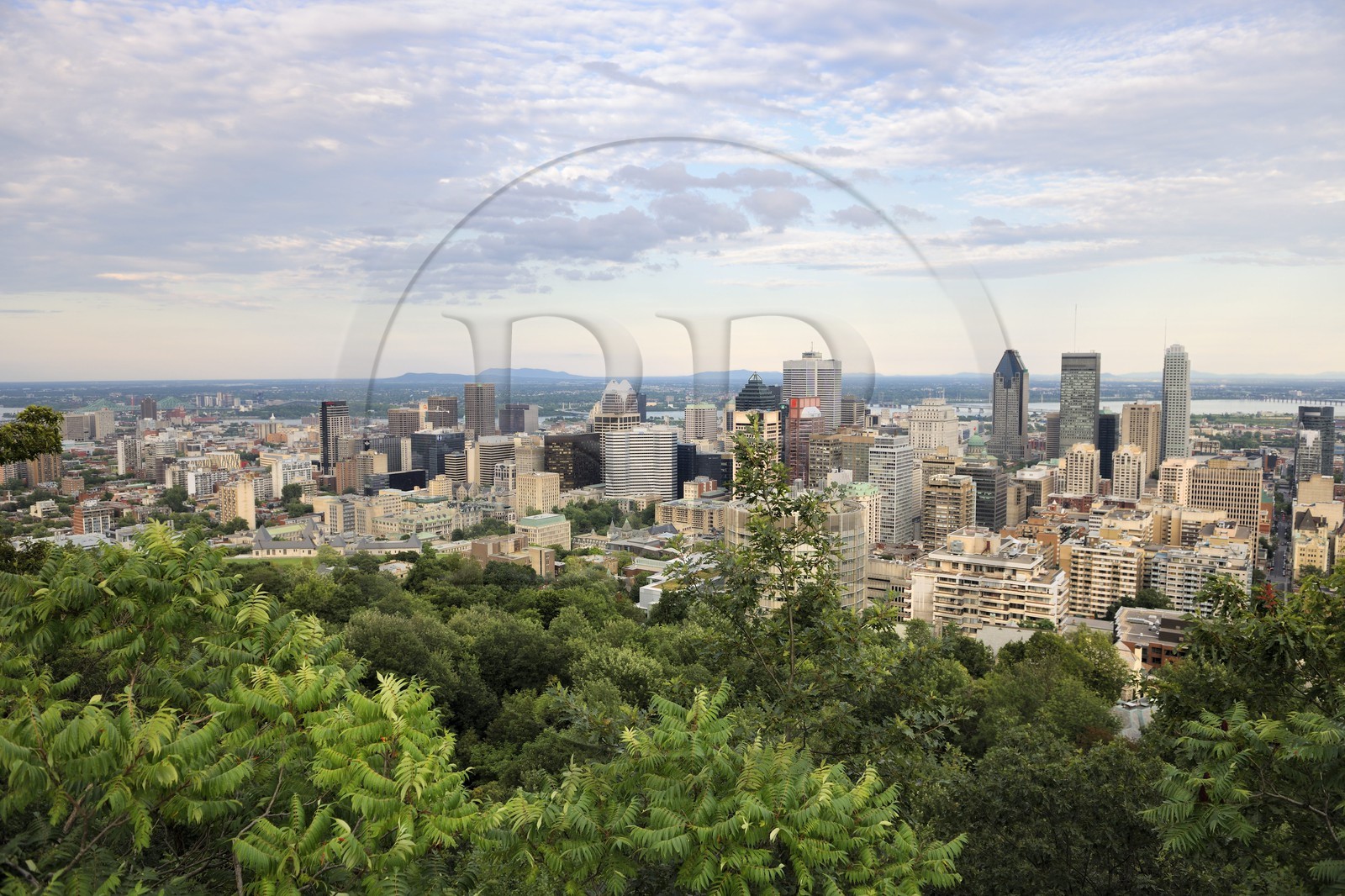 Canada, province de Québec, Montréal, la ville depuis le Belvédère du Chalet au parc Mont-Royal