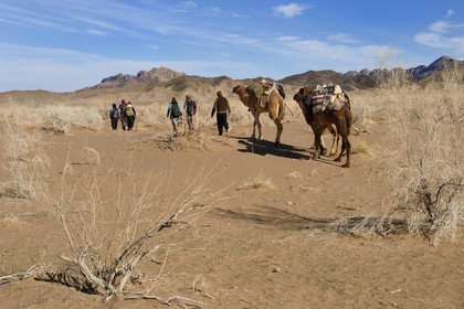 Iran, Isfahan province, Dasht-e Kavir desert, Mesr in Khur and Biabanak County, camel train in a camel trek