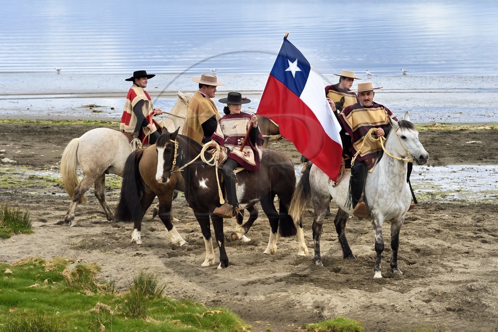 Chili, région de Los Lagos, archipel de Chiloé, Ile de Quinchao, Curaco de Velez, huasos (cavaliers) avec chupalla et manta avant un défilé, une jeune fille huaso porte le drapeau chilien