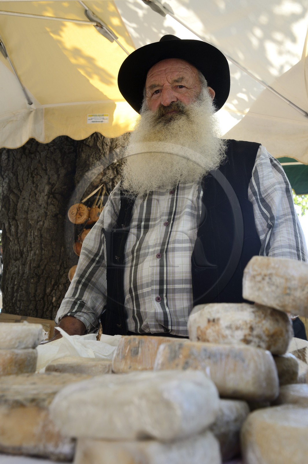 France, Haute-Corse (2B), région du Niolu (Niolo), Casamaccioli, berger vendant ses fromages de chèvre à la fête de la Santa du Niolu