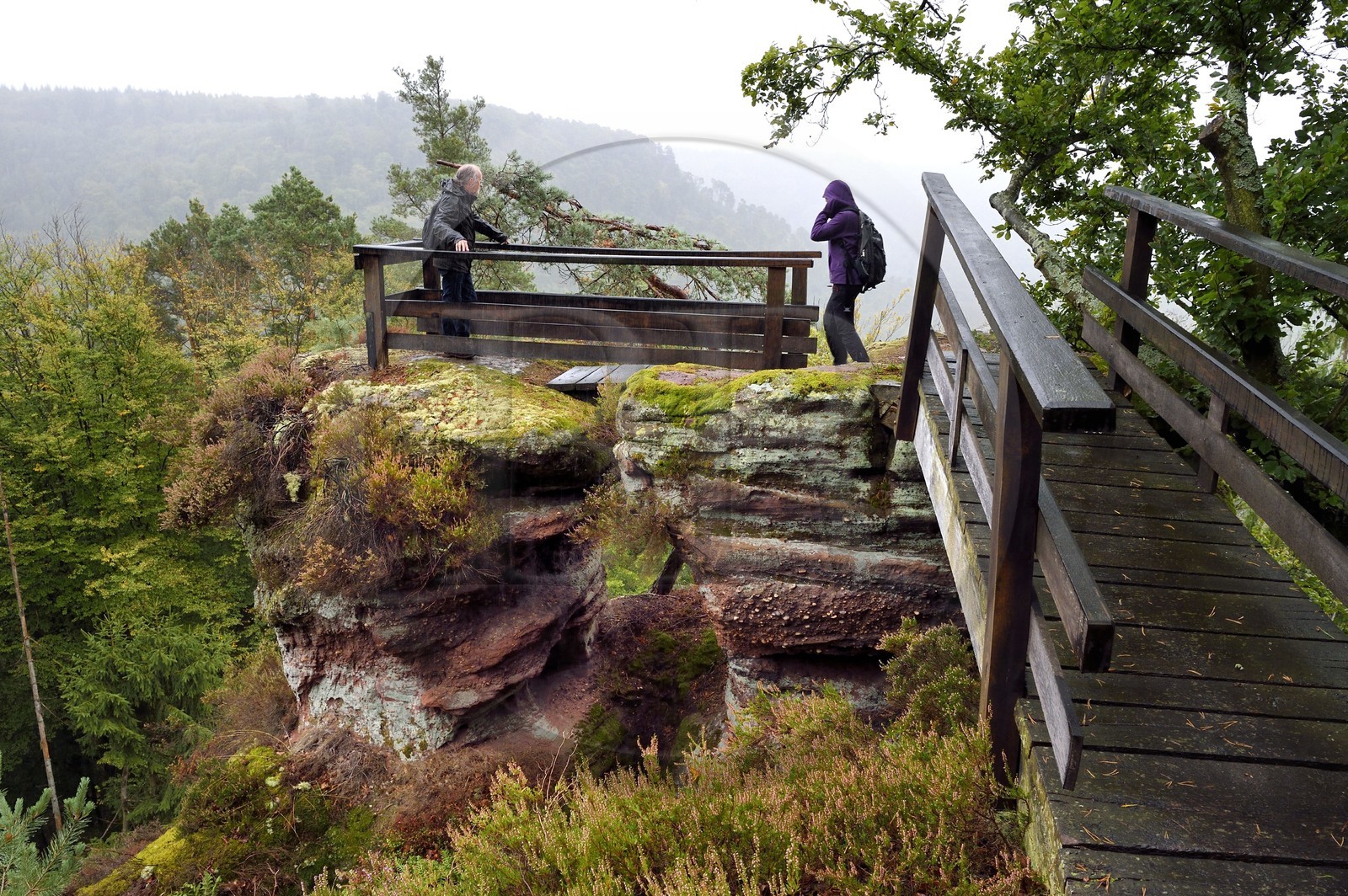 France, Bas-Rhin, Parc regional des Vosges du nord (Northern Vosges Regional Natural Park), La Petite Pierre, hikers on the Trois Roches trail at the Rocher du Saut du Chien (Rock of the Dog Jump)