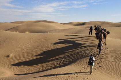 Iran, Province d'Ispahan, désert du Dasht-e Kavir, Mesr dans la région de Khur et Biabanak, caravane de dromadaires dans les dunes du lieu dit de Kuh e-Sefid lors d'une randonnée chamelière