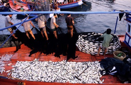 Vietnam, île de Phu Quoc (sud-ouest du pays), retour de pêche