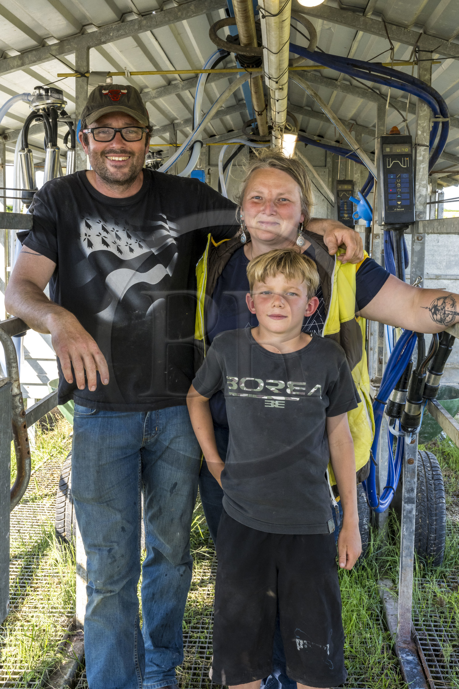 France, Finistère (29), Mer d'Iroise, Ile d'Ouessant, Thomas et Marie Richaud éleveurs de la ferme Les vaches aux 4 vents, traite en paturage mobile