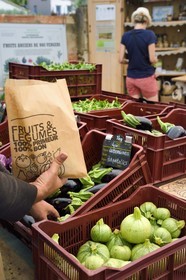 France, Var (83), Iles d'Hyères, parc national de Port Cros, Ile de Porquerolles, Les Jardins de Porquerolles, producteur Bio solidaire