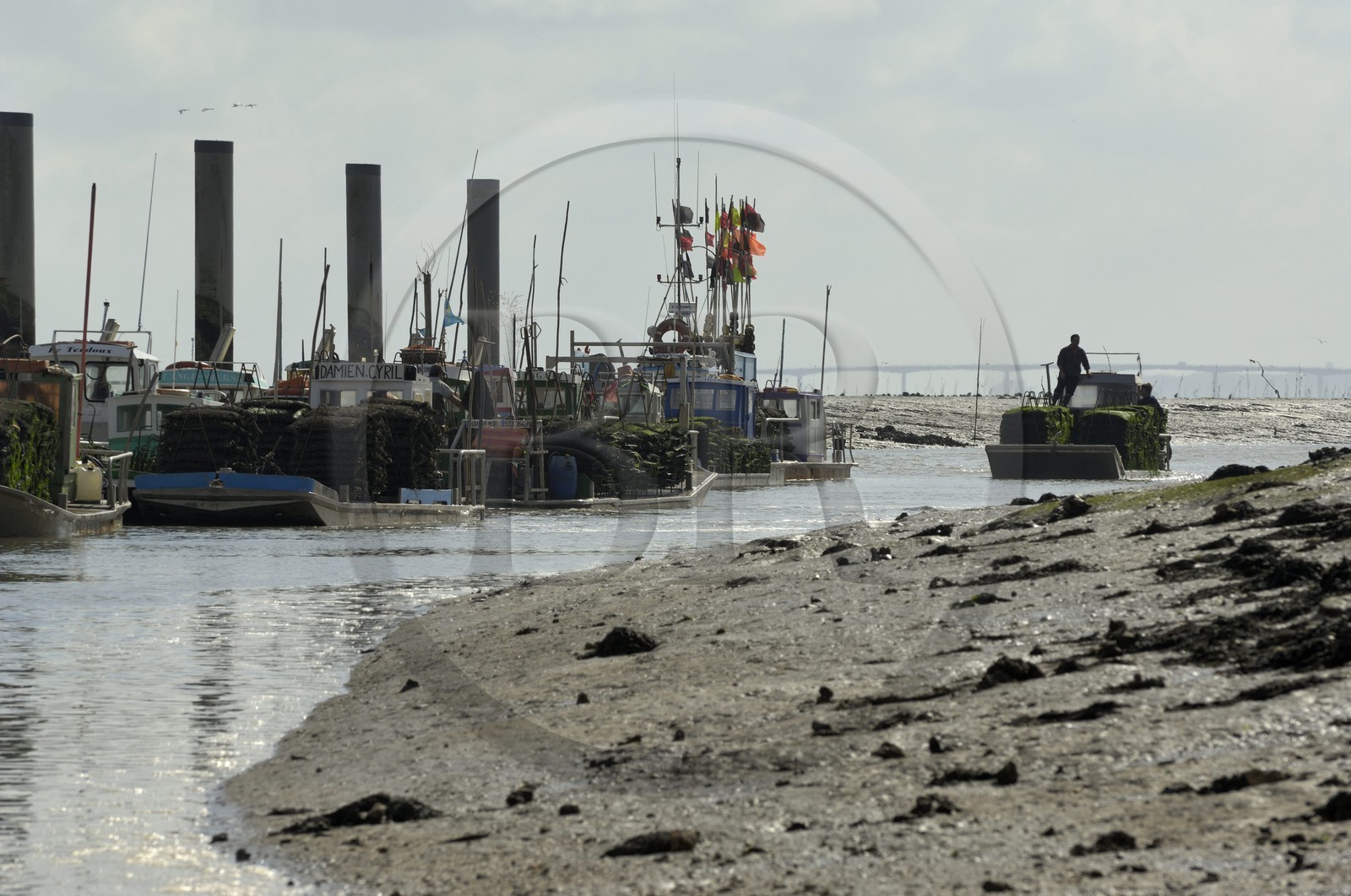 France, Charente-Maritime (17), Ile d'Oléron, le chenal d'Ors, chaland à huîtres dans le port ostréicole