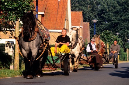Belgium, West Flanders, the last shrimps fishermen on their carriages crossing the city to the beach of Oostduinkerke