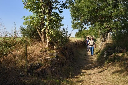 France, Cantal, Parc Naturel Régional des Volcans d'Auvergne (regional nature park of Auvergne volcanoes), step on the Way of St. James to Santiago de Compostela by Via Arverna, Chalinargues, Mons hamlet, hikers walking in the sunken path