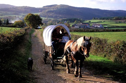 France, Saone et Loire, Morvan region, horse drawn caravan ride near Celle en Morvan village