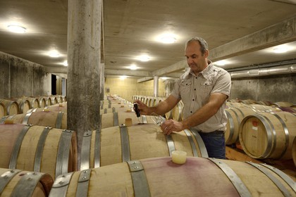 France, Loire (42), Chavanay, le domaine Christophe Pichon à Verlieu - Le-Grand-Val, Christophe Pichon dans sa cave