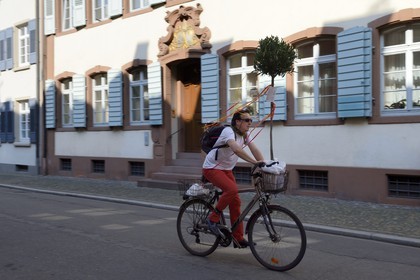 Allemagne, Bade-Wurtemberg, Fribourg en Brisgau, transport d'un arbre à bicyclette