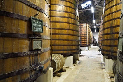 France, Charente (16), Sireuil, Distillerie des Moisans, foudres dans les chais de vieillissement et d'assemblages France, Charente, Sireuil, Distillerie des Moisans, foudres (large barrell) in aging and blending cellars