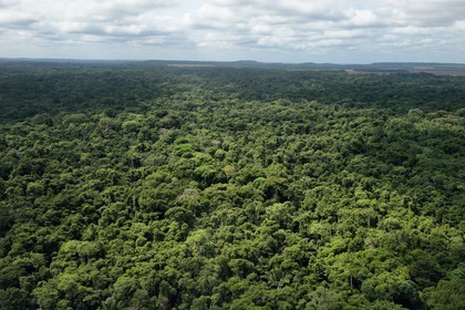 Gabon, Province de Ogooué-Maritime, Parc National Wonga Wongue (vue aérienne)