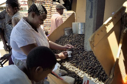 Zimbabwe, Harare, marché de Mbare