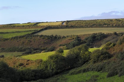 France, Manche, Cap de la Hague, region of Goury