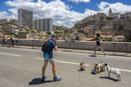 France, Bouches-du-Rhône (13), Marseille, quartier d'Endoume, pont du Vallon des Auffes, la Corniche du Président John Fitzgerald Kennedy piétonne un dimanche par mois au premier plan