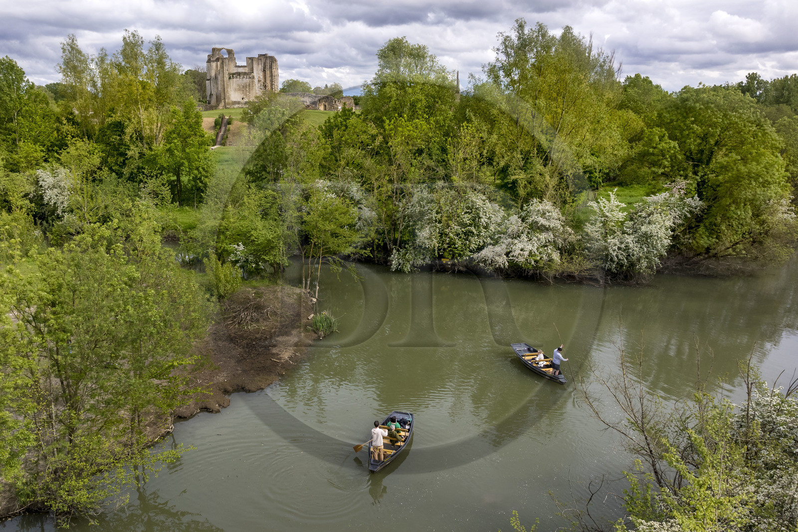 France, Vendée (85), Parc Interrégional du Marais Poitevin labellisé Grand Site de France, Maillezais, batelier effectuant une promenade en barque sur les affluents de l'Autise, les vestiges de l'abbaye Saint-Pierre de Maillezais en arrière plan (vue aérienne)