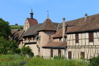 France, Haut-Rhin (68), Riquewihr, labellisé Les Plus Beaux Villages de France, les anciens remparts et la facade arrière du Dolder