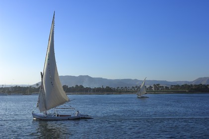 Egypte, Haute Egypte, vallée du Nil, Louxor, felouques sur le Nil