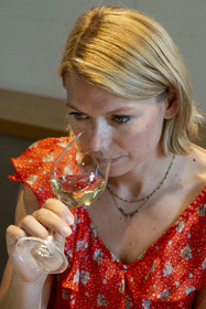 France, Vaucluse (84), Dentelles de Montmirail, Gigondas, le Caveau des Vignerons, dégustation des meilleurs AOC Cru des Côtes du Rhône Gigondas