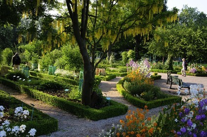 France, Côte d'Or (21), Dijon, jardins botanique de l'Arquebuse
