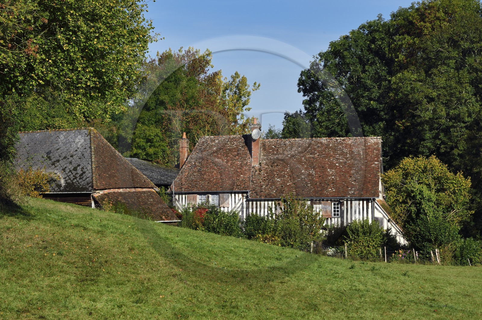 France, Calvados (14), Pays d'Auge, Coupesarte, maison à pans de bois normande