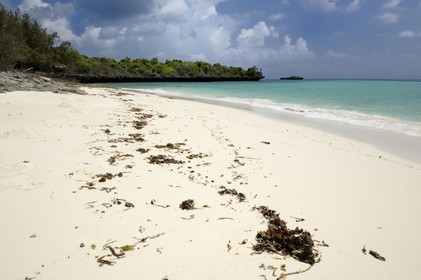 Tanzanie, archipel de Zanzibar, île de Unguja (Zanzibar), côte ouest, plage de la réserve naturelle de Chumbe Island Coral Park à marée basse