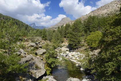 France, Haute Corse, Niolu (Niolo) region, the Calasima river and the Paglia Orba mountain shaped as a shark fin in the background