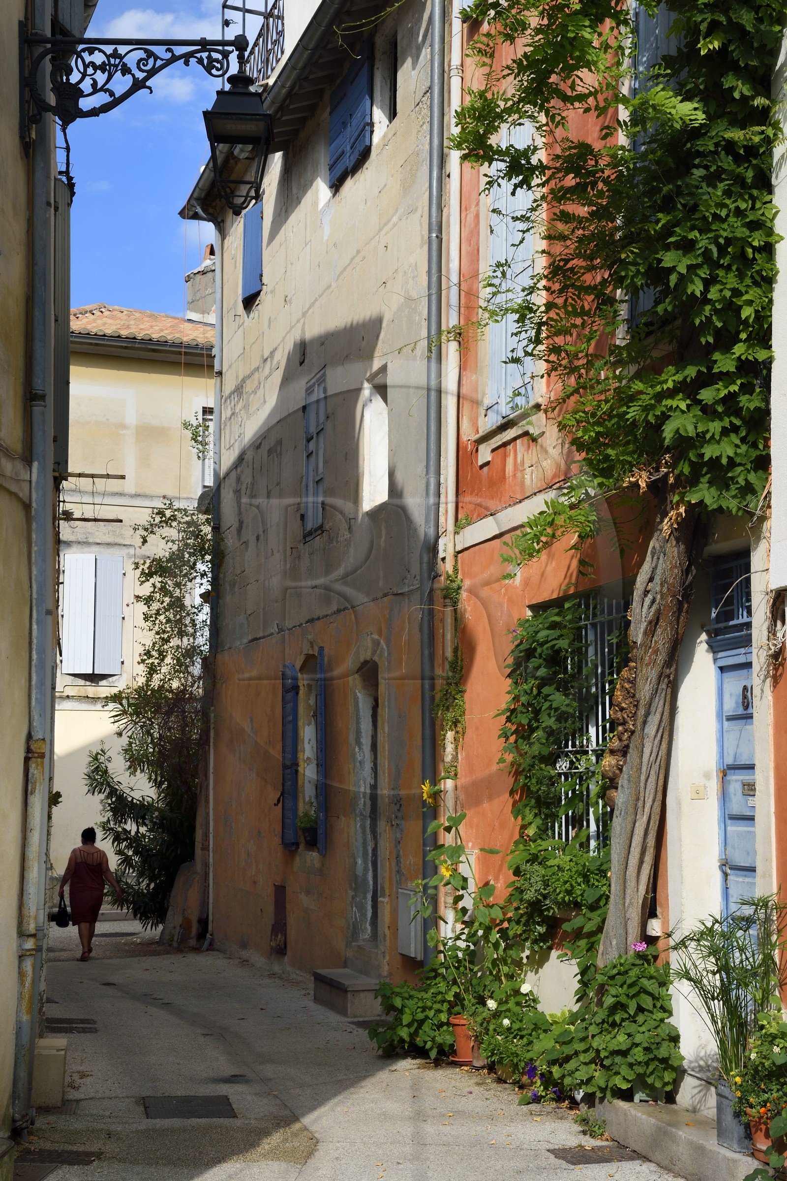 France, Bouches du Rhone, Arles, quartier de la Roquette, impasse Genive
