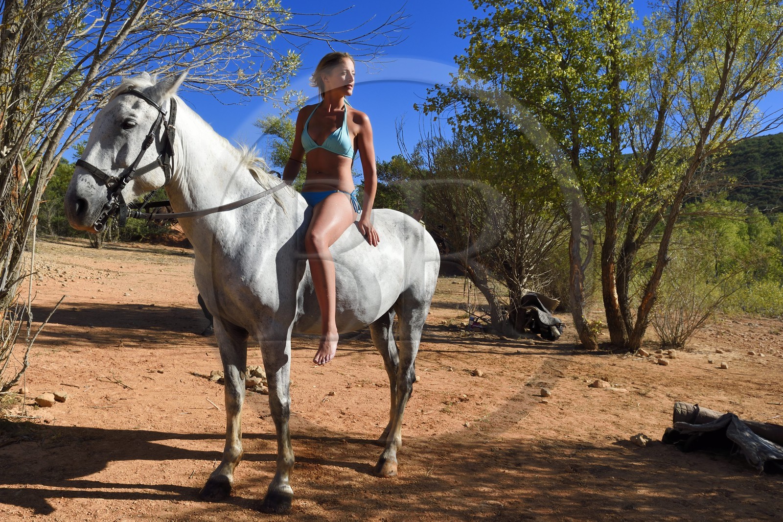 France, Var, Parc Naturel Regional du Verdon, Lake St Croix, horseback riding with Verdon Equitation