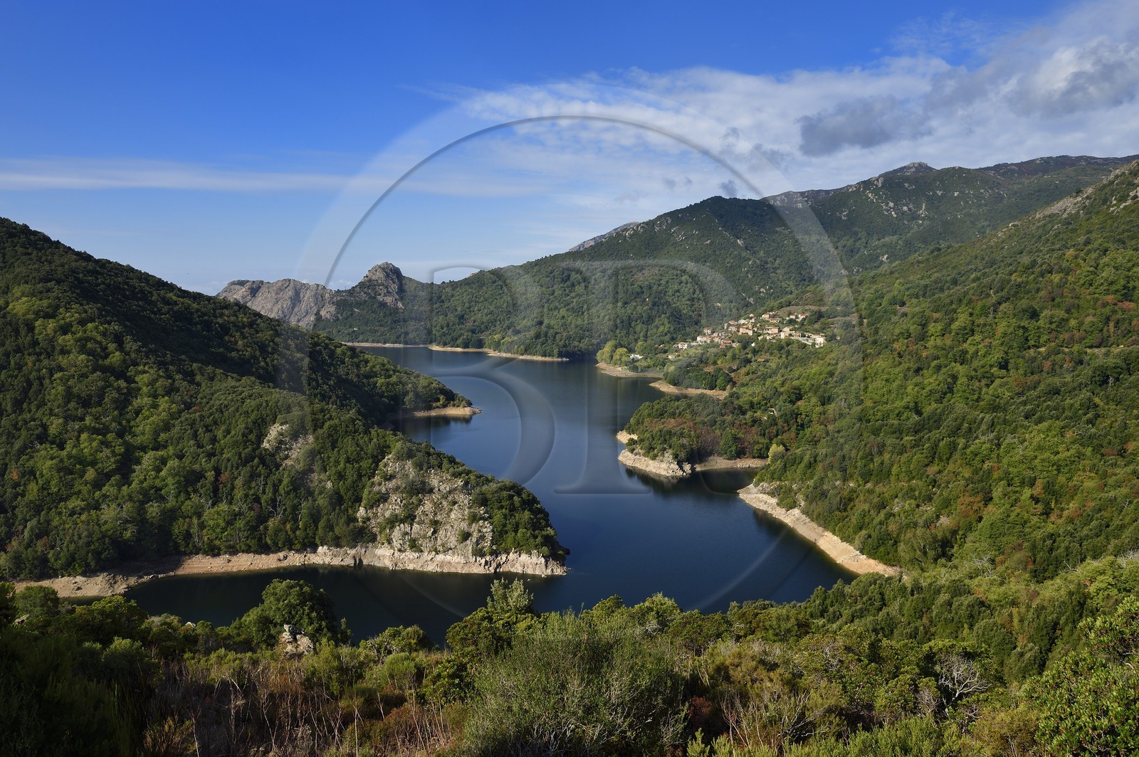 France, Corse du Sud, Prunelli river valley,  the village of Tolla at the edge of the artificial lake of Tolla from the Scalledda pass