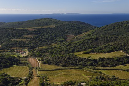 France, Var, Presqu'Ile de Saint-Tropez, Ramatuelle, countryside to Bastide Blanche (aerial view)